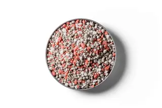 Dairy Pasture Boost 6 fertiliser granules in a round dish