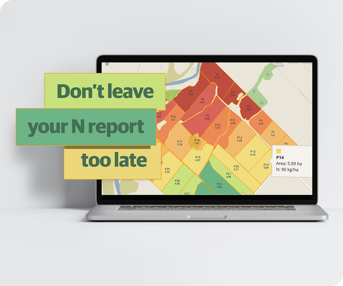 N190 Campaign Don't Leave Your N Report Too Late