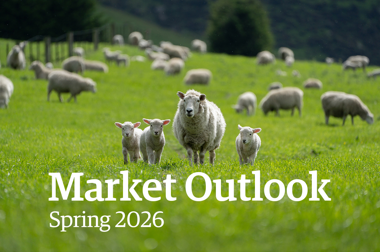 Ravensdown's Market Outlook For Spring 2026