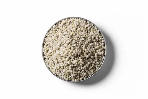 250403 RVD Dap 13S