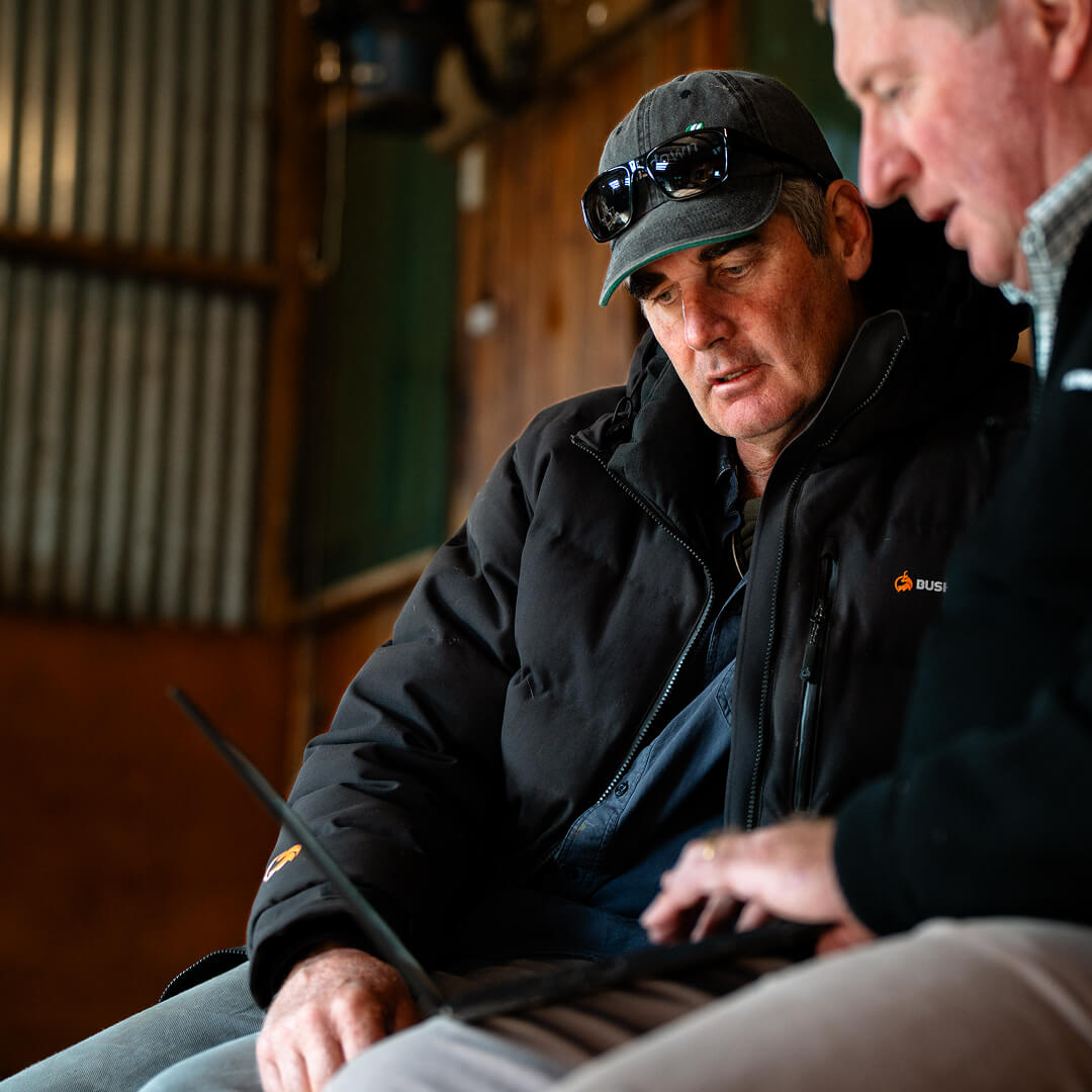 Testimonial Marcus Colbrae Farm, Central Hawkes Bay