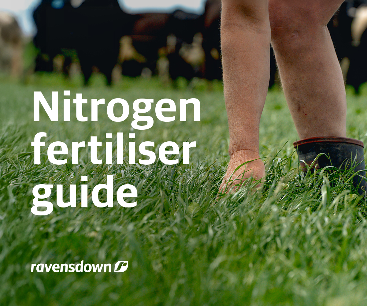 Nitrogen fertiliser guide for New Zealand farmers showing pasture and grazing livestock