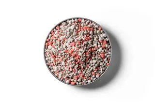 Dairy Pasture Boost 4 fertiliser granules in a round dish