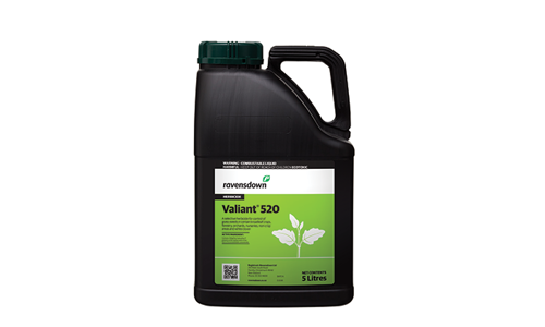 Valiant 520 For Web