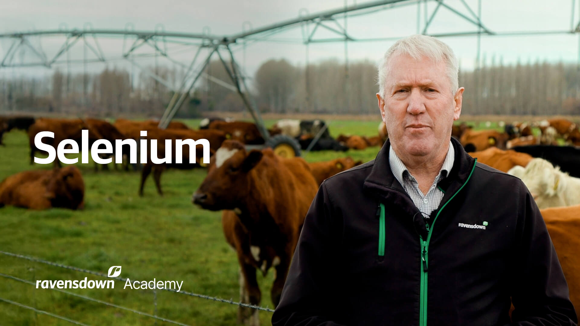 Ravensdown Academy Selenium